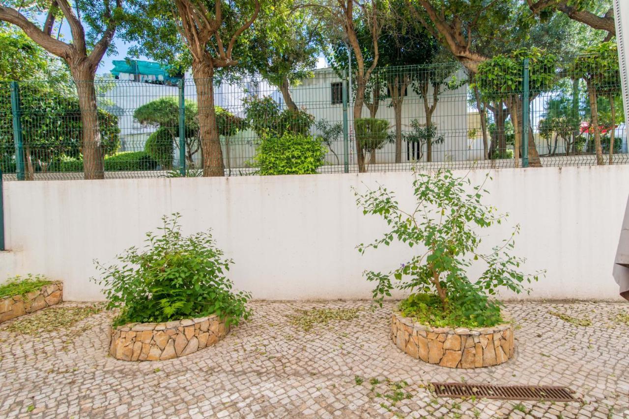 Poco Do Bispo By Algartur
